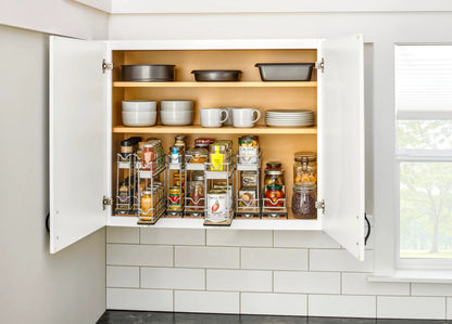 Two Tier Upper Cabinet Storage Pullout